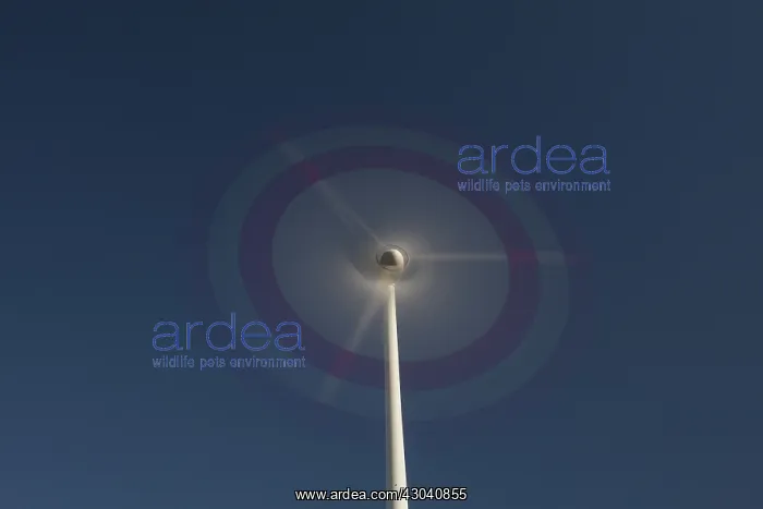 : Wind Turbine generating power on a wind farm : Wind Turbine generating power on a wind farm
