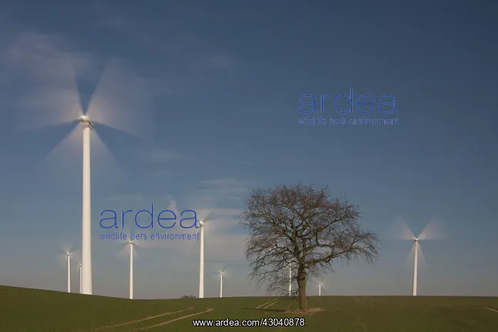 : Wind Turbine generating power on a wind farm : Wind Turbine generating power on a wind farm