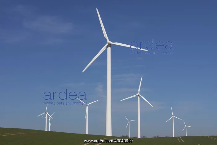 : Wind Turbine generating power on a wind farm : Wind Turbine generating power on a wind farm
