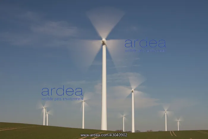 : Wind Turbine generating power on a wind farm : Wind Turbine generating power on a wind farm