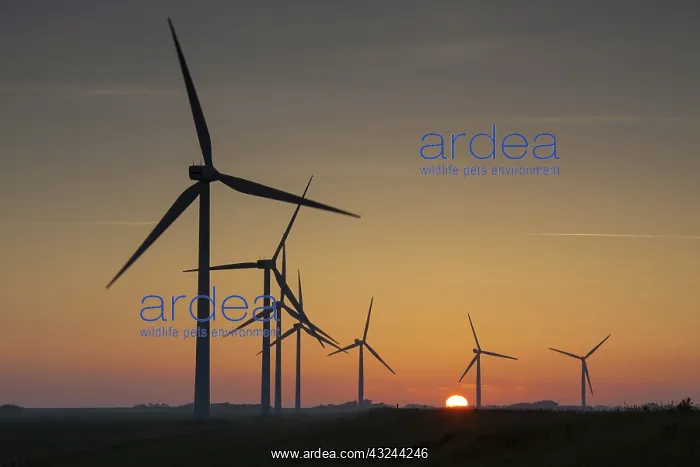 : Wind Turbine generating power on a wind farm : Wind Turbine generating power on a wind farm