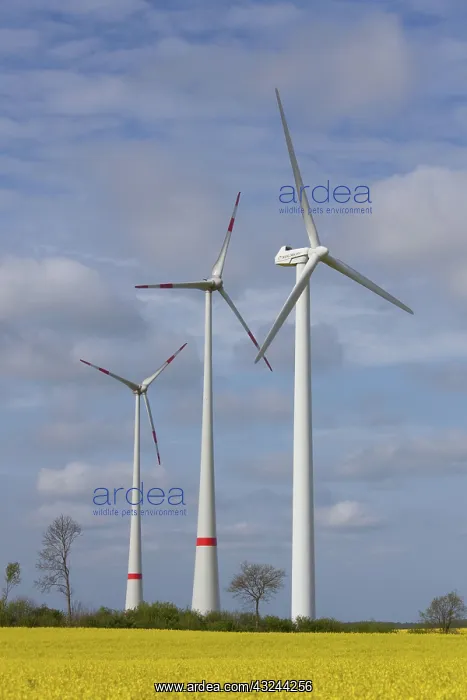 : Wind Turbine generating power on a wind farm : Wind Turbine generating power on a wind farm