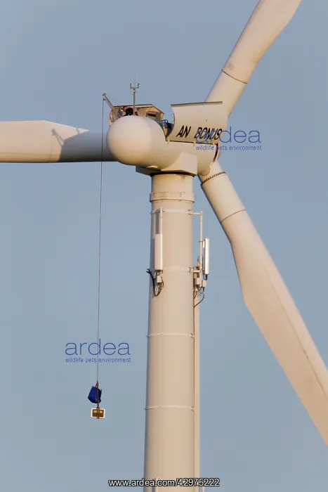 : Wind Turbine - being maintained : Wind Turbine - being maintained