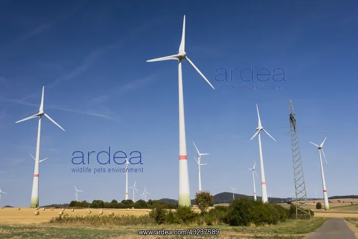 : Wind Turbine Park - amongst arable land, North Hessen : Wind Turbine Park - amongst arable land, North Hessen