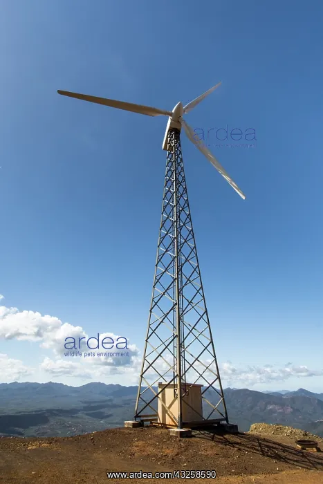 : Wind turbine on ridge in New Caledonia : Wind turbine on ridge in New Caledonia
