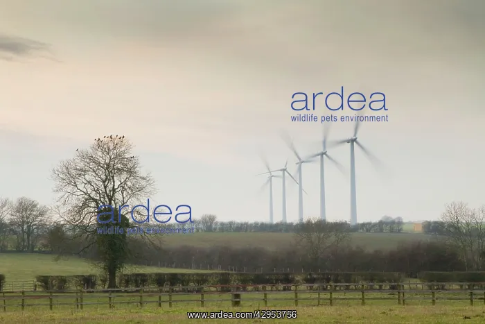 : Wind Turbine - A row of wind turbines producing green energy : Wind Turbine - A row of wind turbines producing green energy