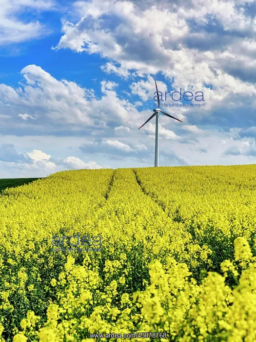 : Wind turbine in a rural area, single wind turbine : Wind turbine in a rural area, single wind turbine