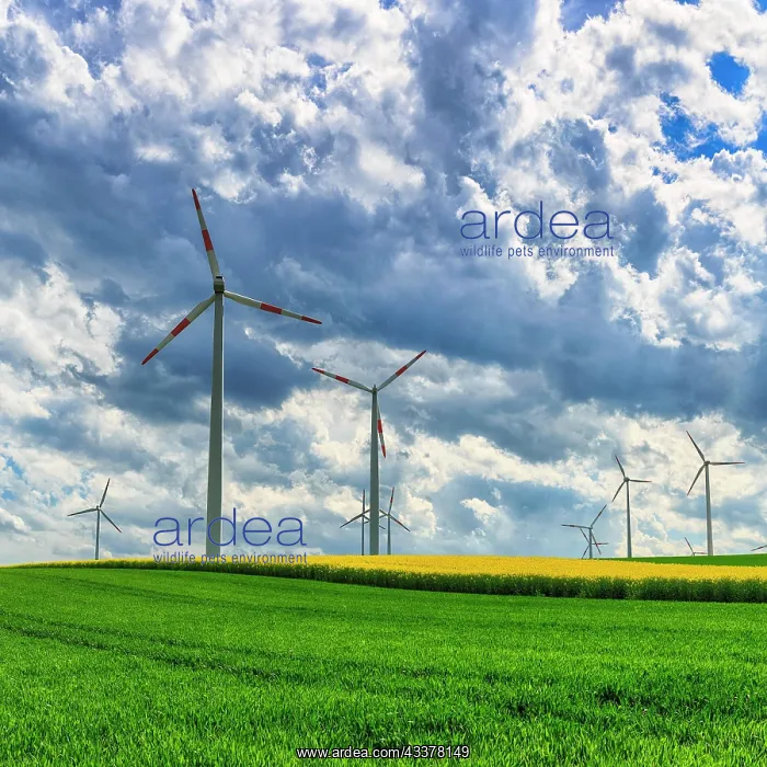  : Wind turbine in a rural area, wind turbines on a