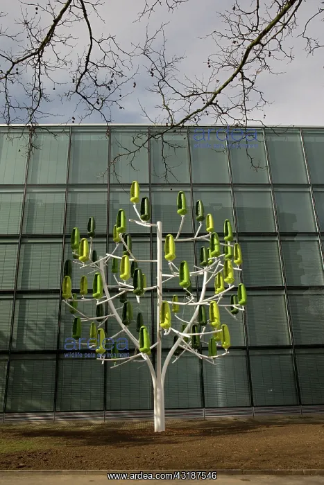 : Wind Turbine Tree The Wind Tree was launched in : Wind Turbine Tree The Wind Tree was launched in