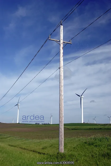 : Wind Turbines : Wind Turbines