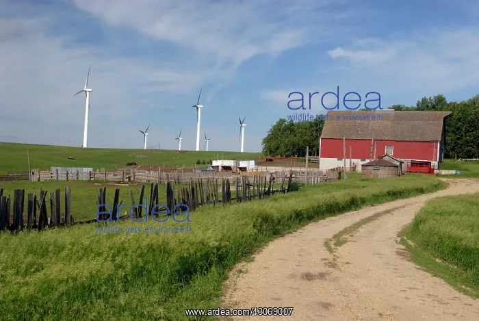 : Wind Turbines : Wind Turbines