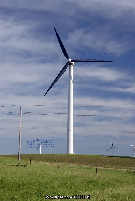 : Wind Turbines : Wind Turbines