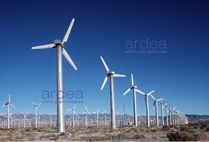 : WIND TURBINES : WIND TURBINES