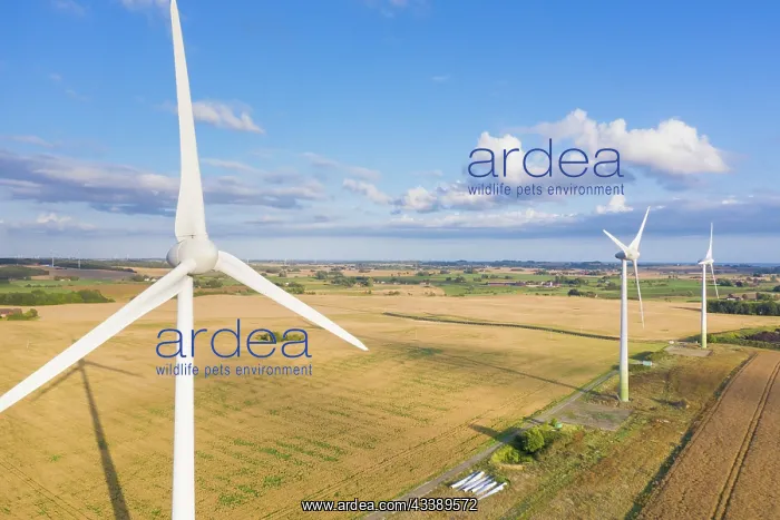 : Wind turbines : Wind turbines