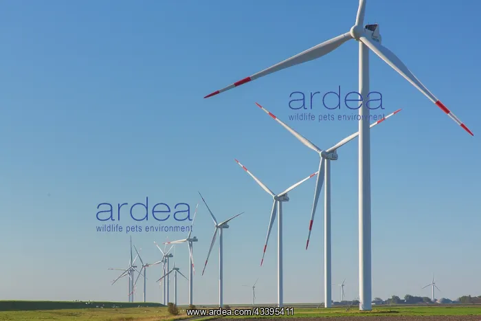 : Wind turbines : Wind turbines