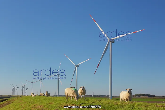 : Wind turbines : Wind turbines