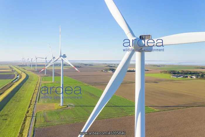 : Wind turbines : Wind turbines