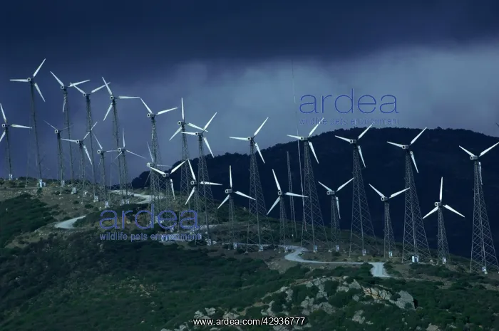  : Wind Turbines, Andalucia, Spain