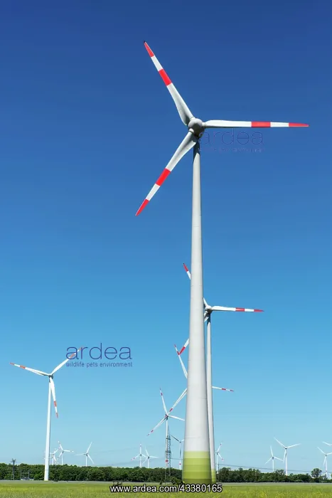 : Wind turbines against a blue sky in Germany : Wind turbines against a blue sky in Germany