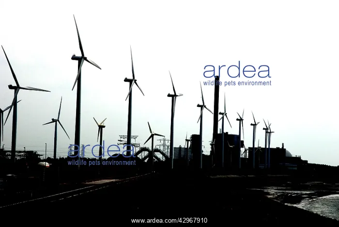 : Wind Turbines and coal fired power station on the : Wind Turbines and coal fired power station on the