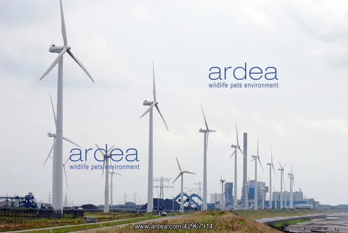 : Wind Turbines and coal fired power station on the : Wind Turbines and coal fired power station on the
