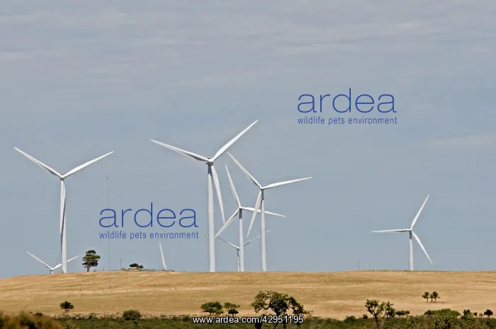: Wind turbines at Emu Downs Windfarm near Cervantes : Wind turbines at Emu Downs Windfarm near Cervantes