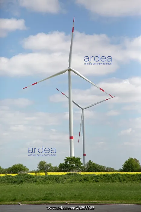 : Wind Turbines - generating electricity on wind farm : Wind Turbines - generating electricity on wind farm