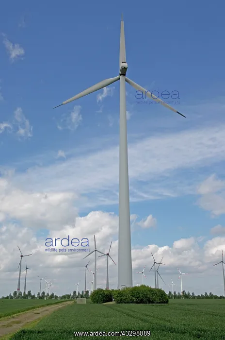 : Wind Turbines - generating electricity on wind farm : Wind Turbines - generating electricity on wind farm