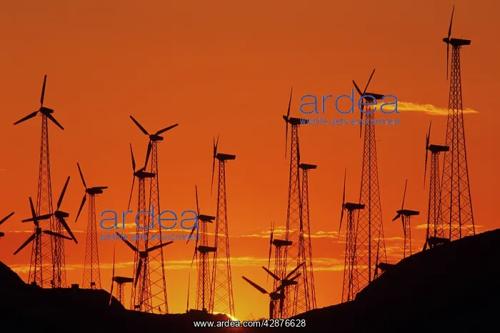 : Wind turbines generating electricity at a windmill farm : Wind turbines generating electricity at a windmill farm