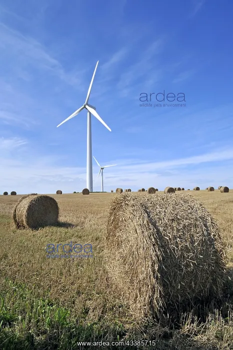 : Wind turbines in mowed field with hay bales : Wind turbines in mowed field with hay bales