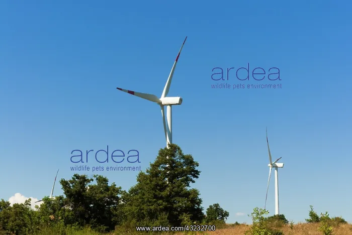 : Wind turbines, Parco eolico dei Poggi Alti : Wind turbines, Parco eolico dei Poggi Alti