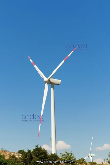 : Wind turbines, Parco eolico dei Poggi Alti : Wind turbines, Parco eolico dei Poggi Alti