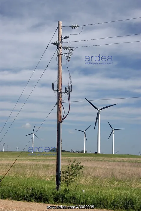 : Wind Turbines and Power Line : Wind Turbines and Power Line