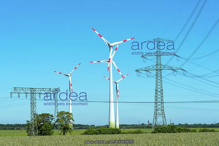 : Wind turbines and power lines in Germany : Wind turbines and power lines in Germany