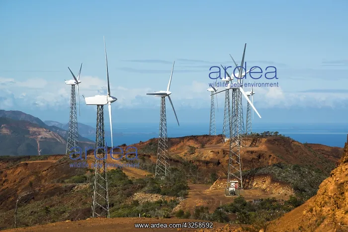 : Wind turbines on ridge in New Caledonia : Wind turbines on ridge in New Caledonia