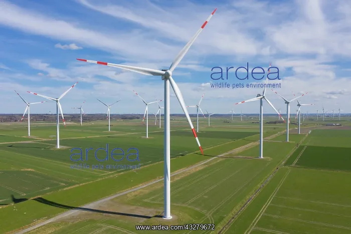 : Wind turbines seen from the air - North Frisia - Germany : Wind turbines seen from the air - North Frisia - Germany
