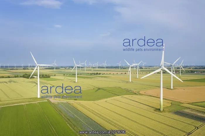 : Wind turbines seen from the air - North Frisia - Germany : Wind turbines seen from the air - North Frisia - Germany