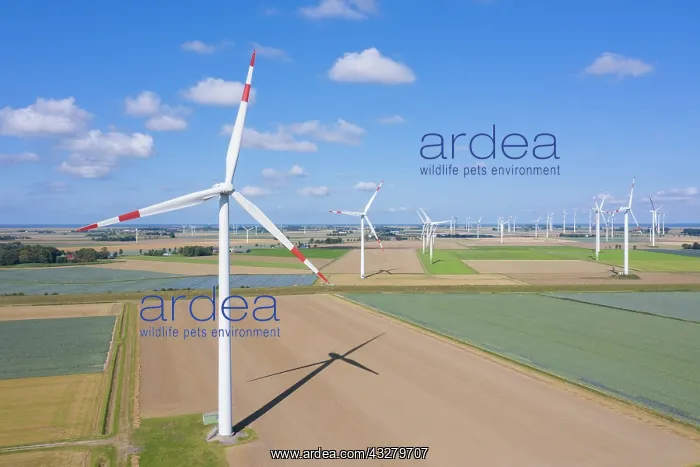 : Wind turbines seen from the air - North Frisia - Germany : Wind turbines seen from the air - North Frisia - Germany