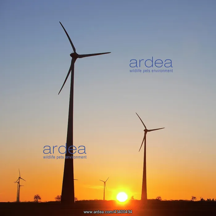 : Wind turbines at sunrise, Wevelsburg wind farm : Wind turbines at sunrise, Wevelsburg wind farm