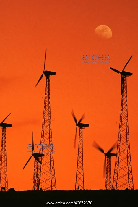 : Wind turbines - at sunset, generating electricity : Wind turbines - at sunset, generating electricity