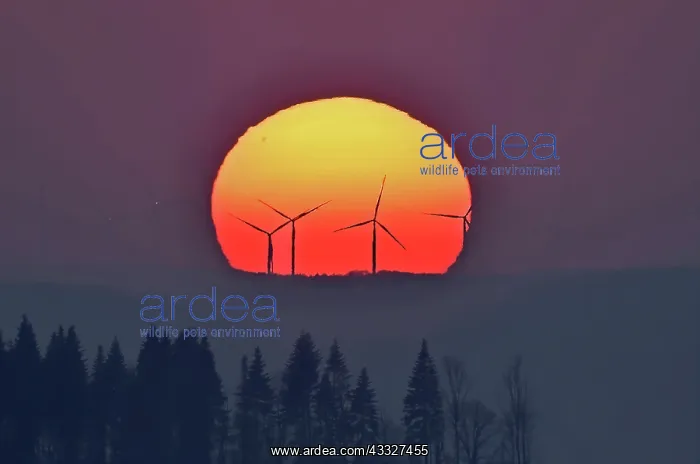 : Wind turbines at sunset, Monts du Lomont, Jura, France : Wind turbines at sunset, Monts du Lomont, Jura, France