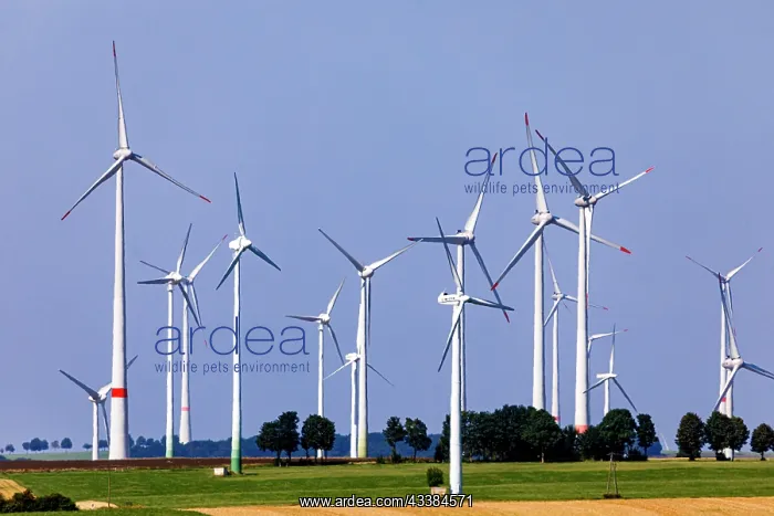 : Wind turbines, wind farm Lichtenau (Westphalia) : Wind turbines, wind farm Lichtenau (Westphalia)