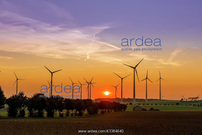: Wind turbines, wind turbines, wind farm in East : Wind turbines, wind turbines, wind farm in East