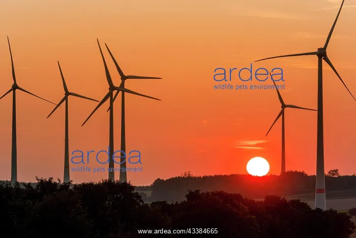 : Wind turbines, wind turbines, wind farm in East : Wind turbines, wind turbines, wind farm in East