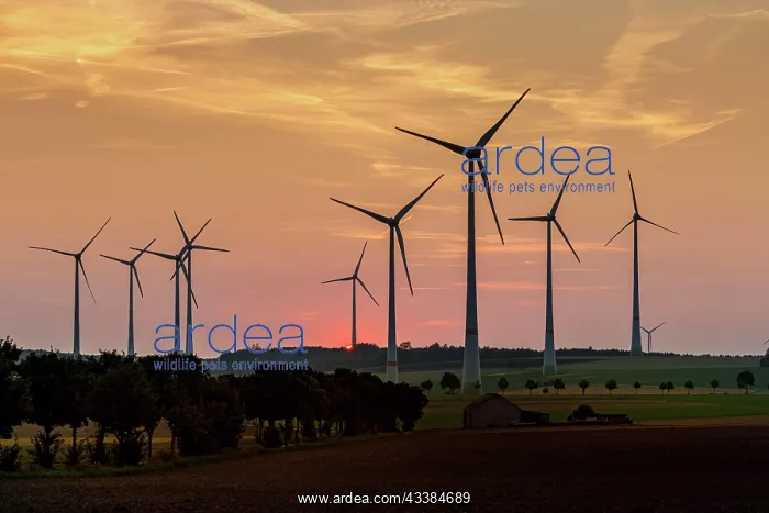 : Wind turbines, wind turbines, wind farm in East : Wind turbines, wind turbines, wind farm in East