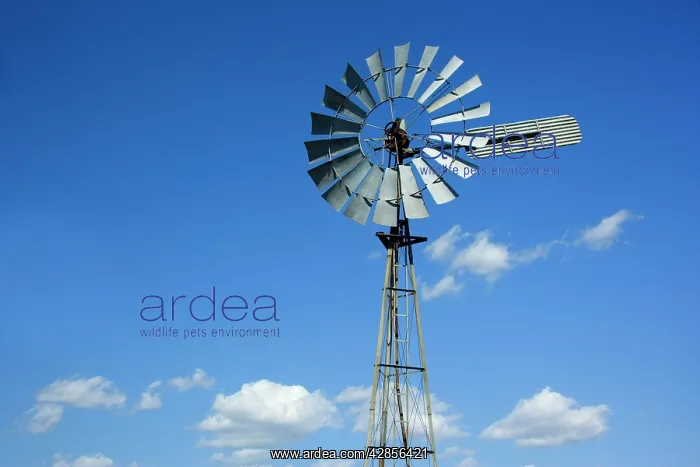 : Wind wheel - typical wind wheel used in Australia's : Wind wheel - typical wind wheel used in Australia's