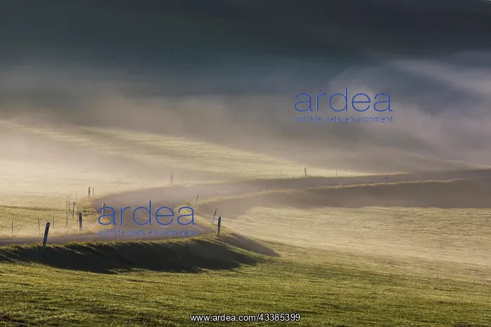 : Winding country road, landscape in the fog, Bisingen : Winding country road, landscape in the fog, Bisingen