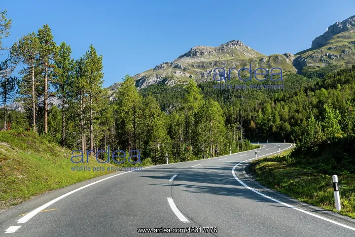 : Winding mountain road, Ofenpass, M&, x2ecf4972;tal : Winding mountain road, Ofenpass, M&, x2ecf4972;tal