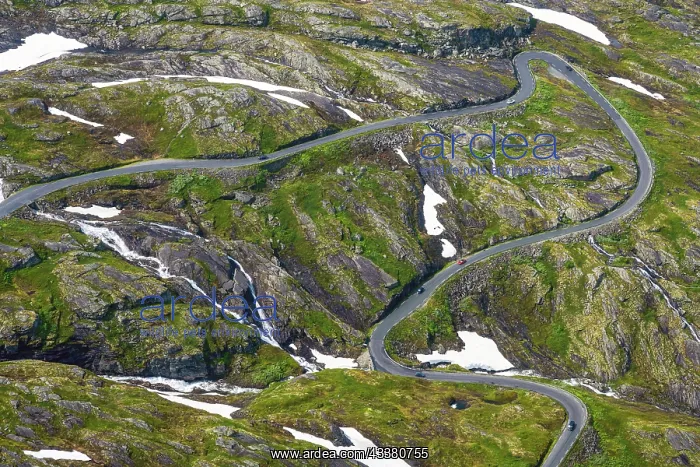 : Winding road in a green landscape with patches o : Winding road in a green landscape with patches o
