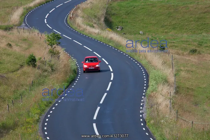 : Winding road in Havaeng - Sweden : Winding road in Havaeng - Sweden